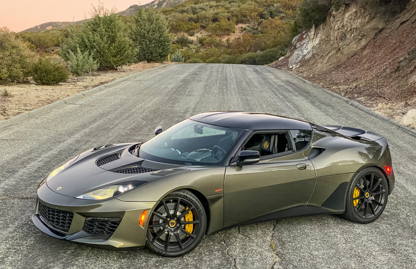 Lotus Neutron Performance Chip